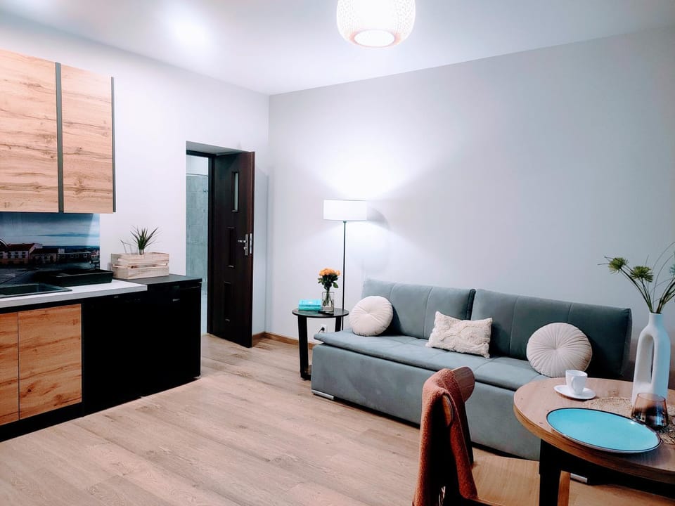 Kitchen or kitchenette, Living room, Seating area, stove