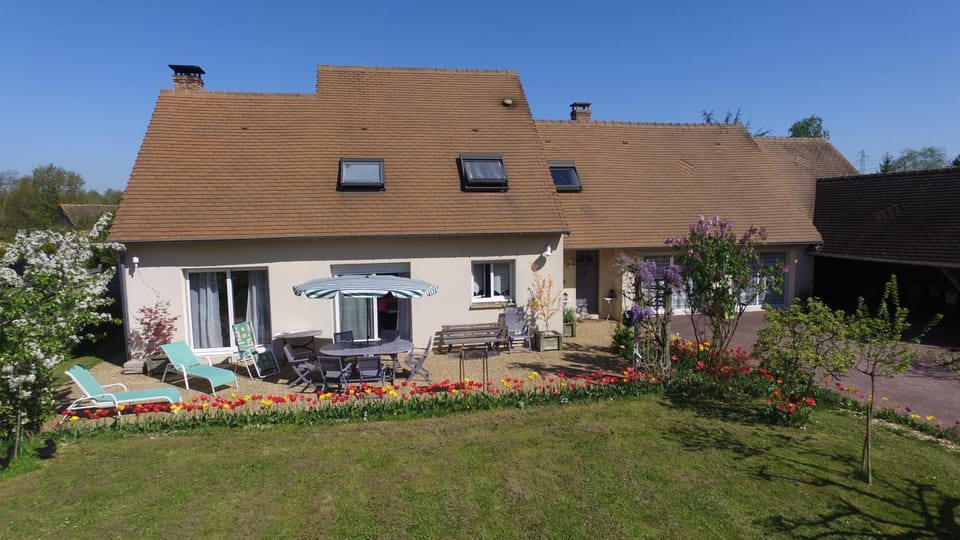 Patio, Spring, Garden, Garden view