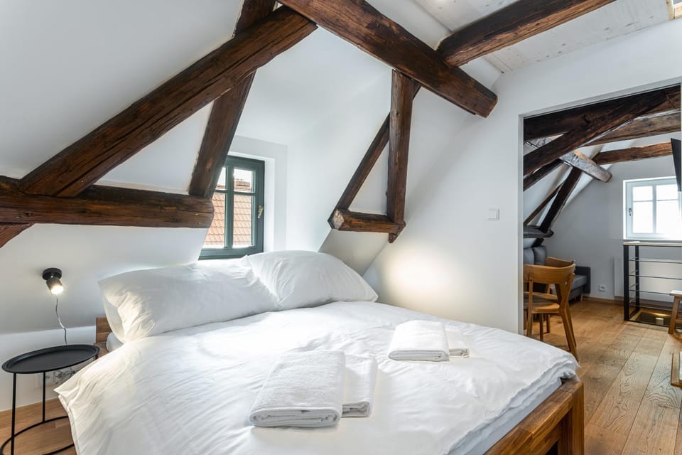 Apartmány VOLF - Boží Dar Apartment in Erzgebirgskreis