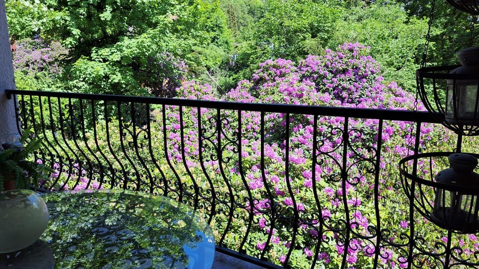 View (from property/room), Balcony/Terrace