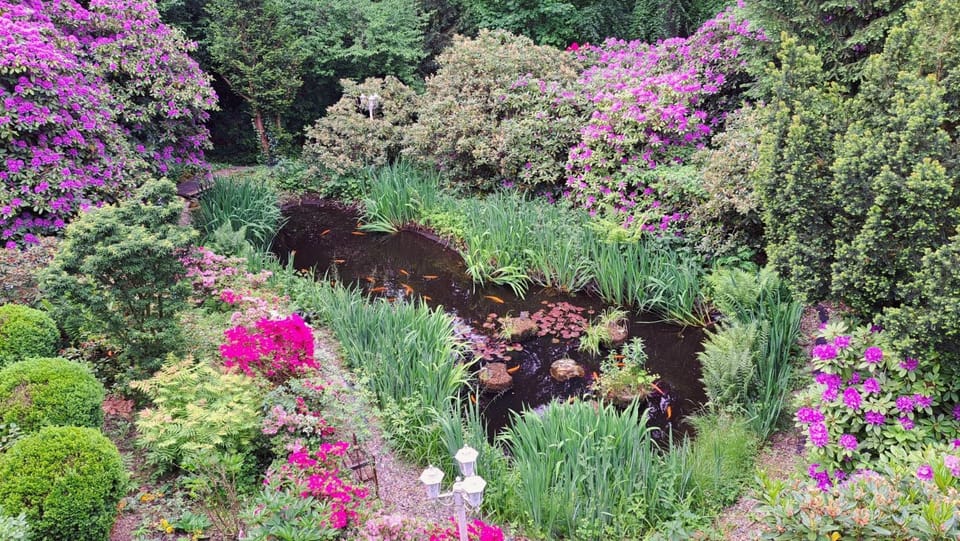 View (from property/room)