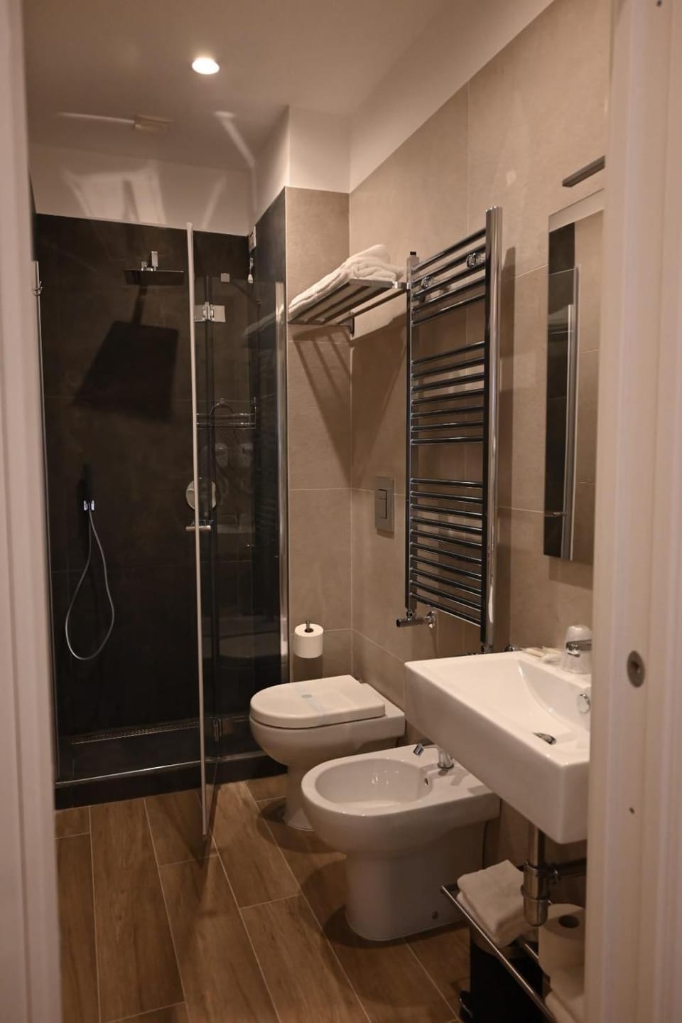 Shower, Toilet, Bathroom, bidet