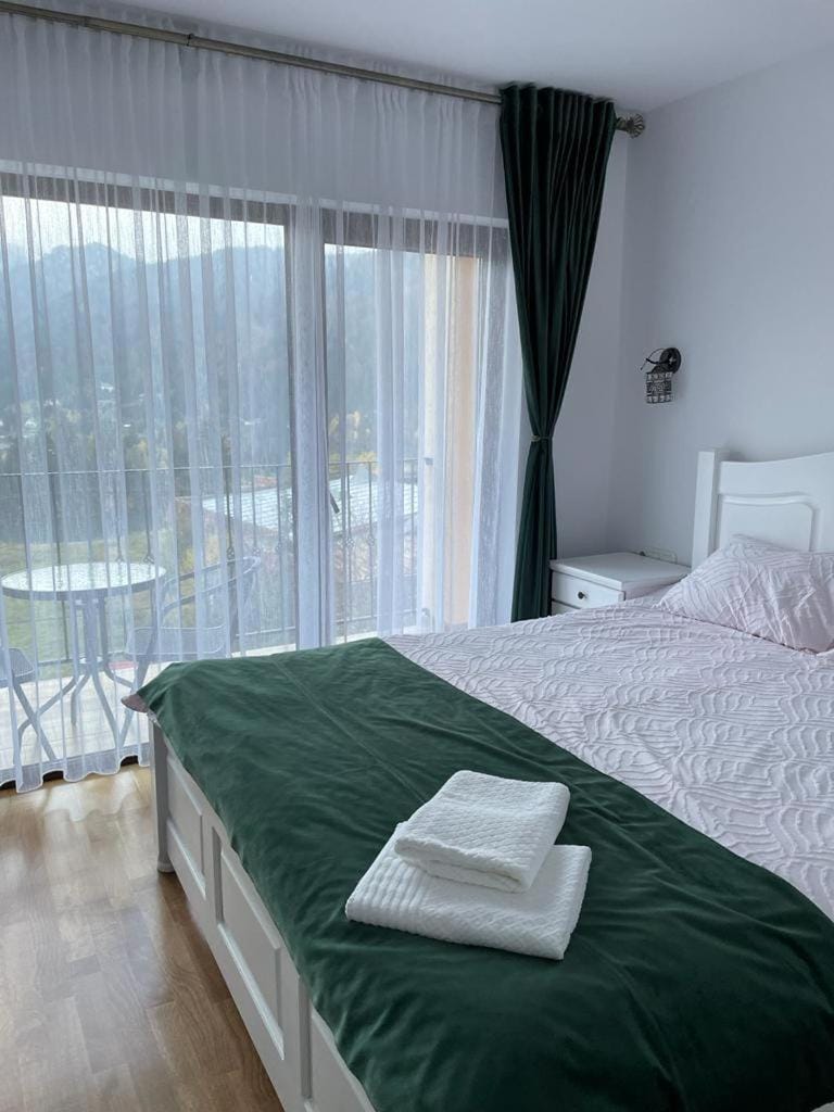 Silver Mountain Villa Colibita Bed and Breakfast in Romania
