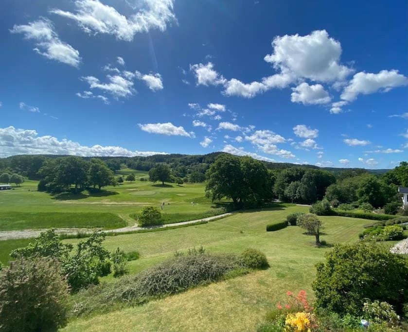 Natural landscape, Garden, Garden view