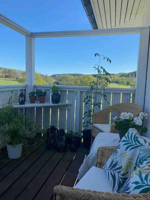 Balcony/Terrace, Garden view