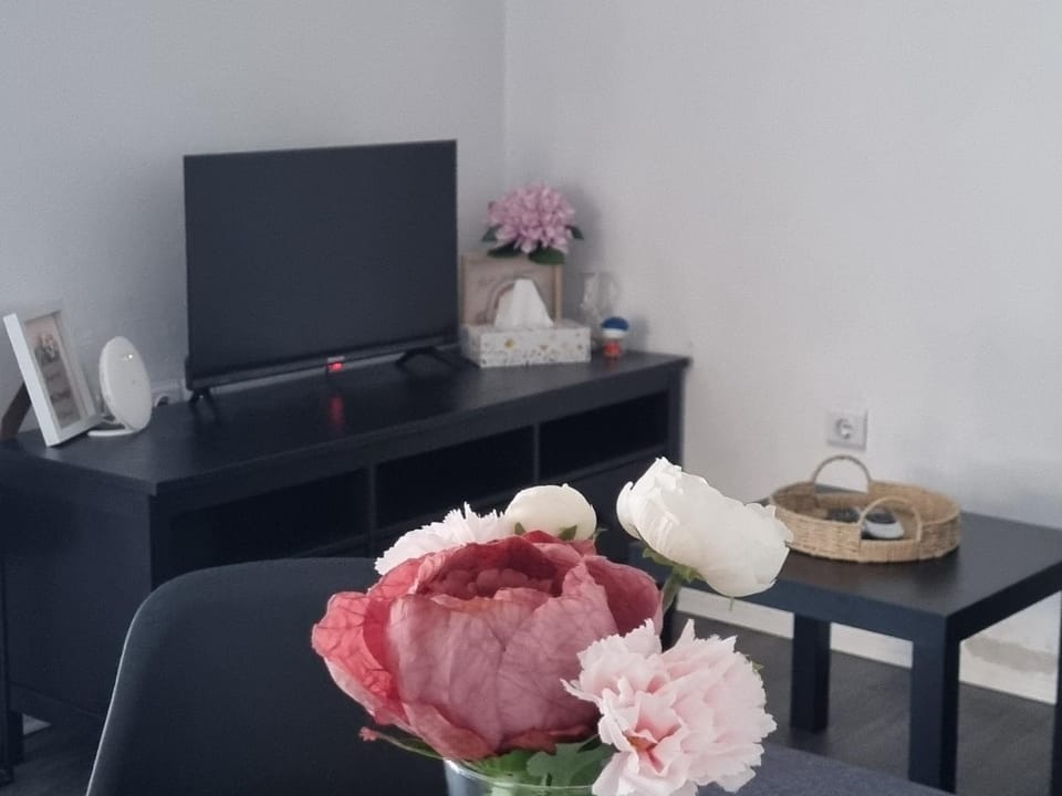 Port of happiness Apartment Apartment in Istria County