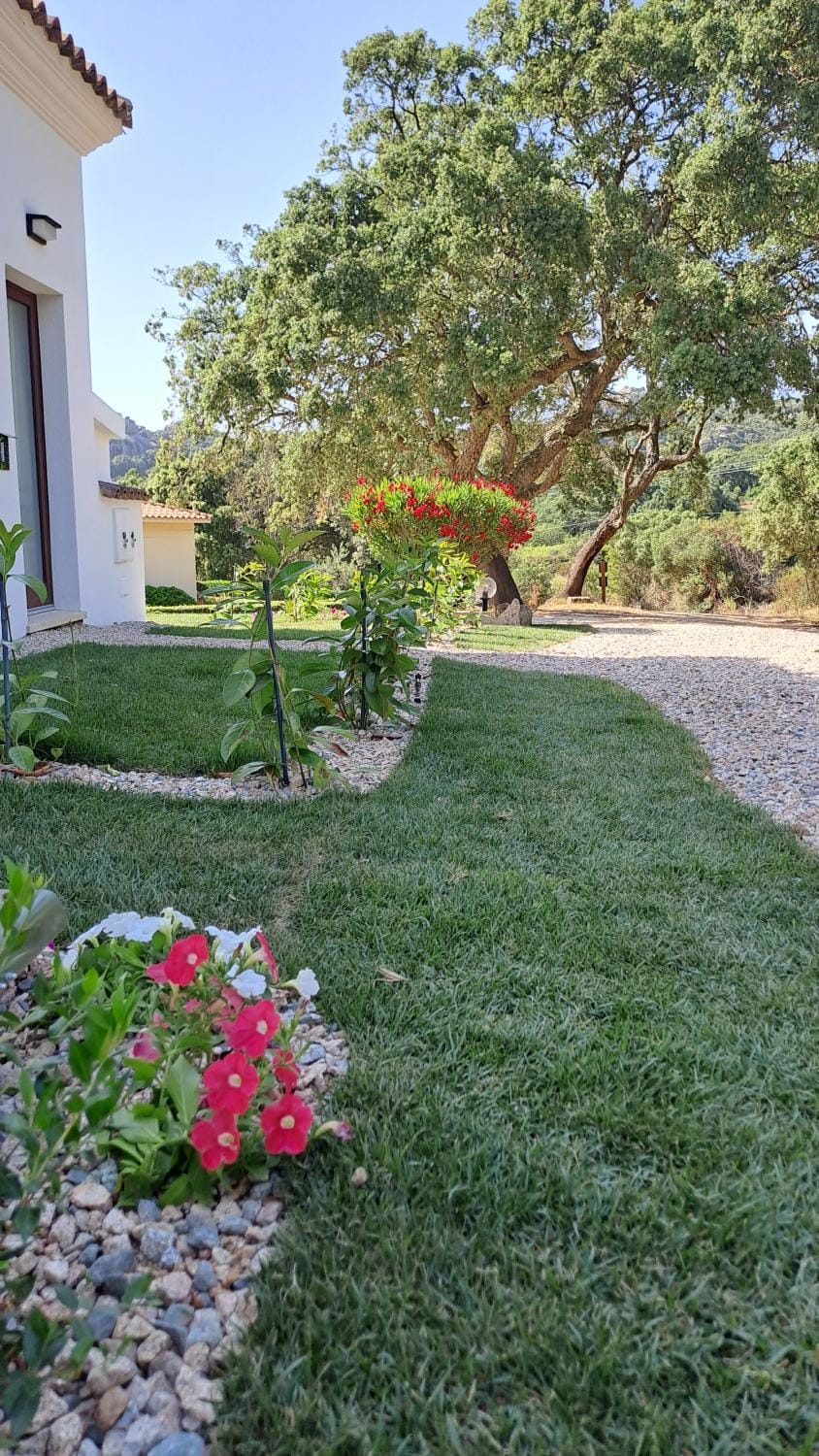 Garden, Garden view
