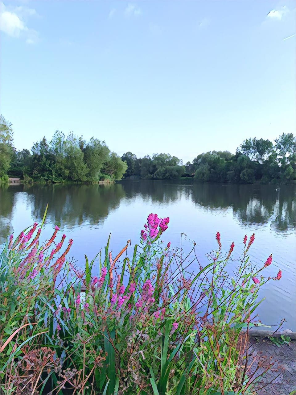 Natural landscape, Lake view