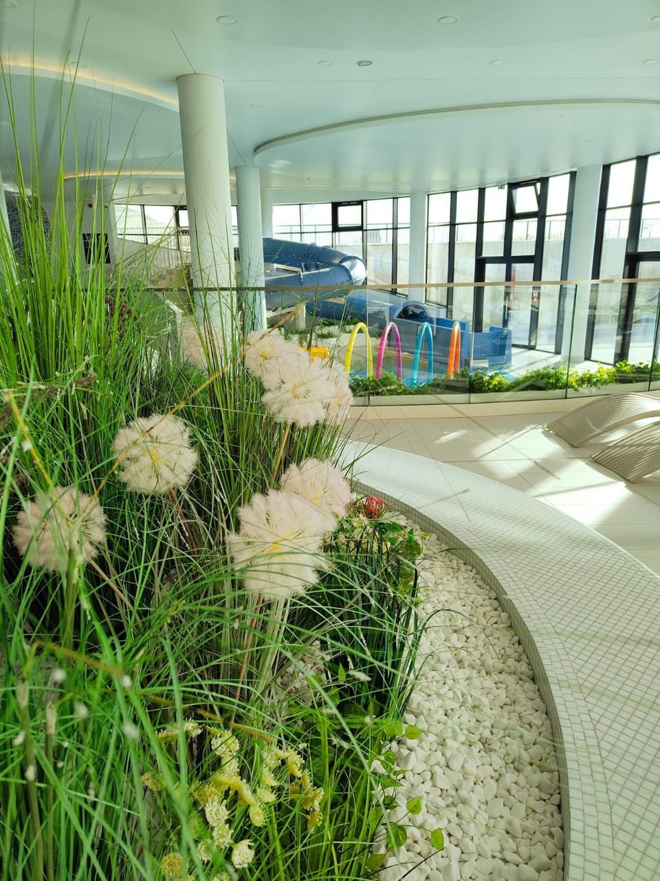 Day, Pool view, Swimming pool