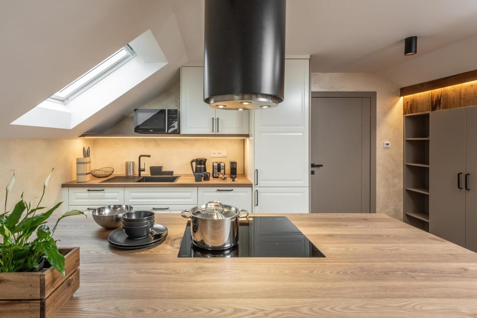 Kitchen or kitchenette, dishwasher, minibar, stove, toaster