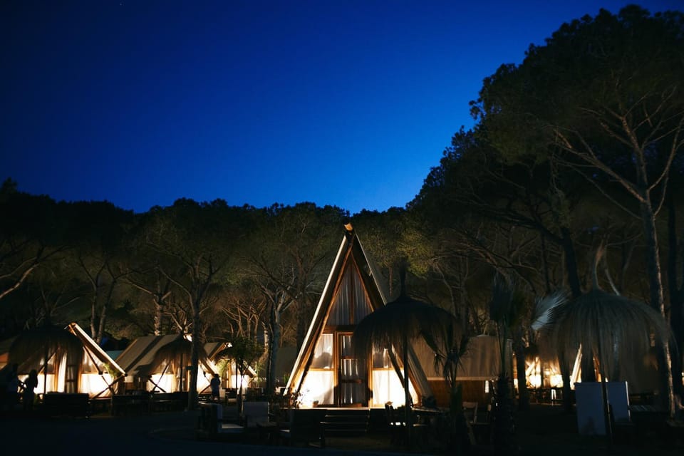 Night, Natural landscape, Garden