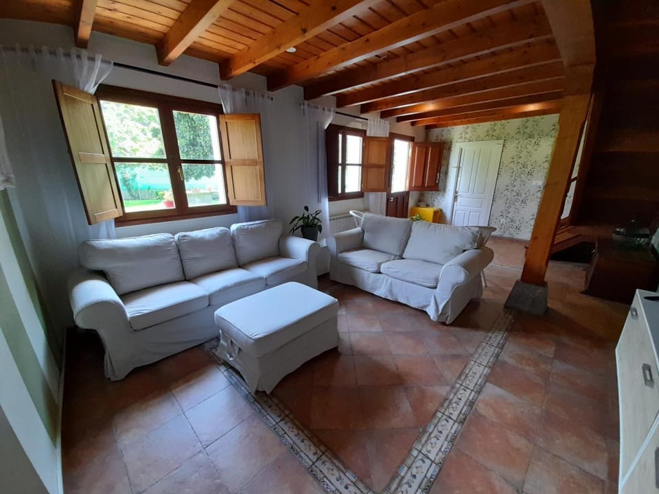 Living room, Photo of the whole room, Seating area