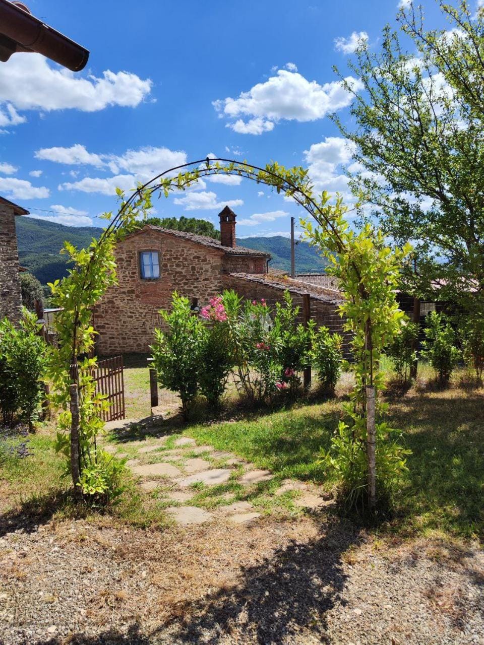 Property building, Natural landscape, Garden
