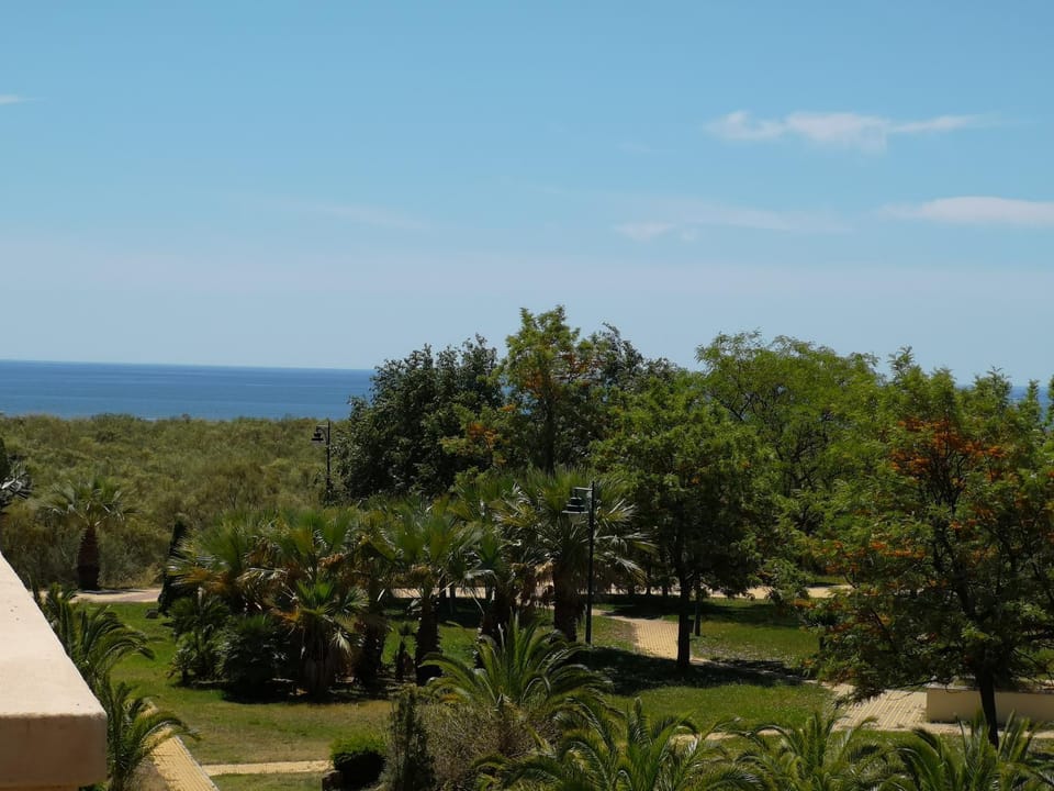 Sea view