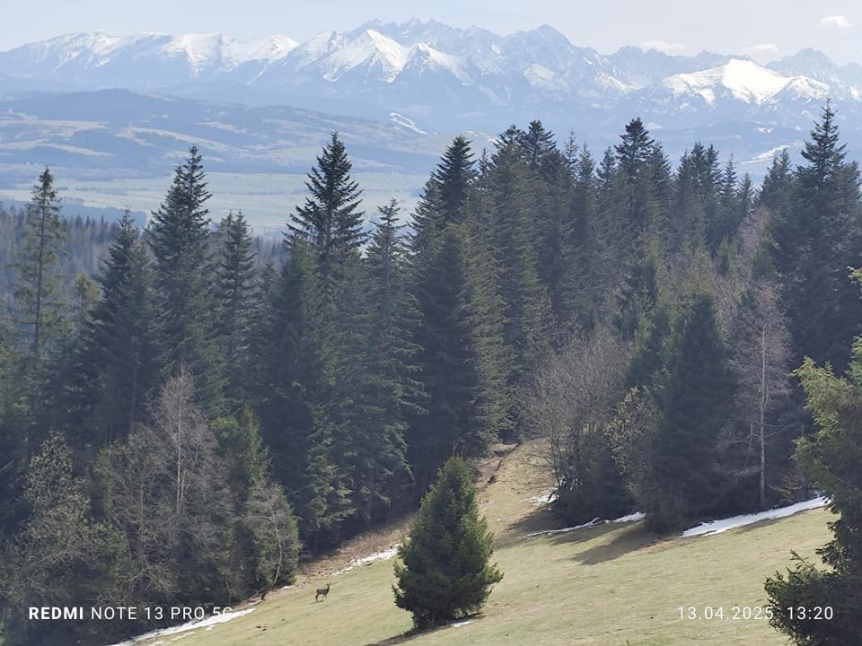 Gościniec Dziubasowki Chalet in Lesser Poland Voivodeship