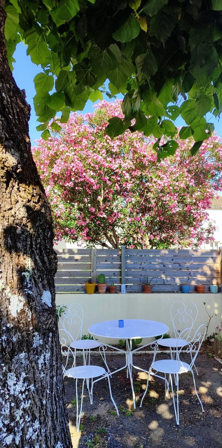 Spring, Day, Garden, Dining area, Garden view