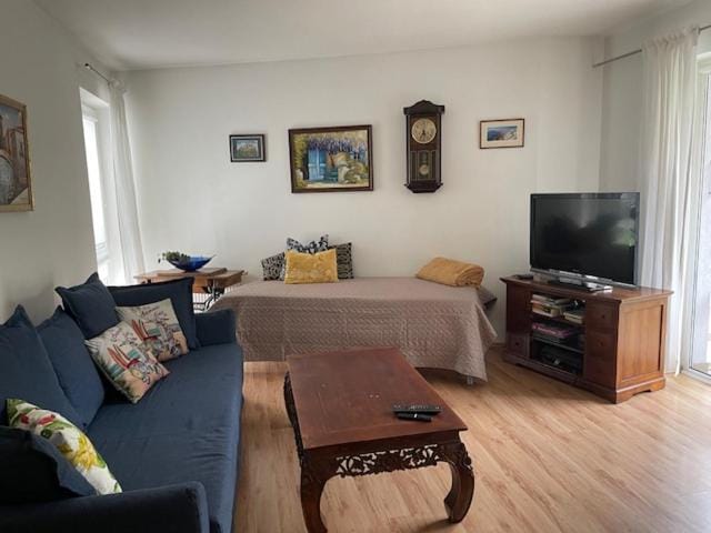 Bellis Apartment Apartment in Szczecin