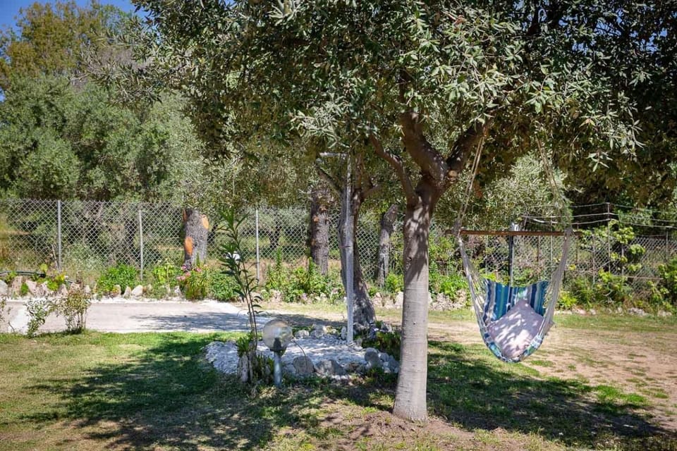 Natural landscape, Garden, Garden view