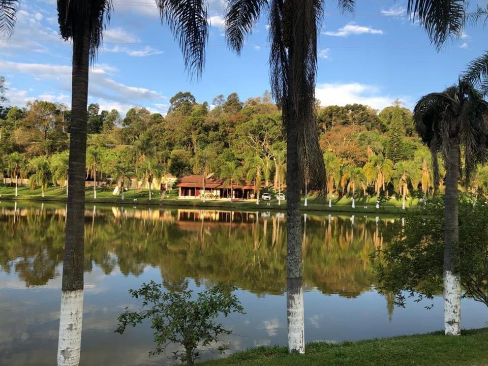Lake view