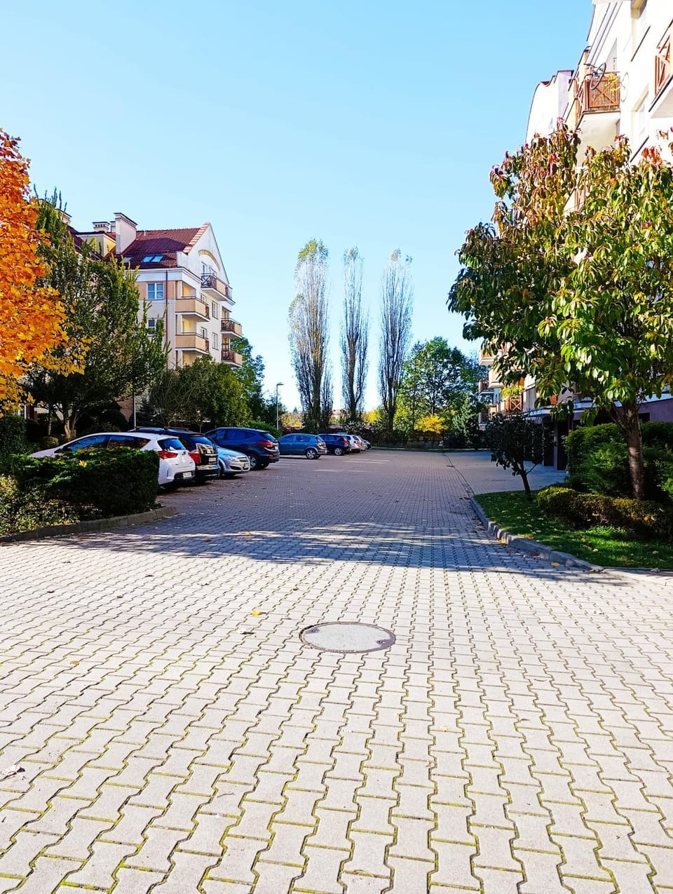 Neighbourhood, Parking
