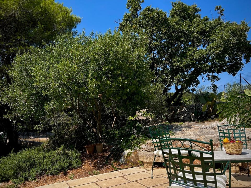 Patio, Garden, Garden view