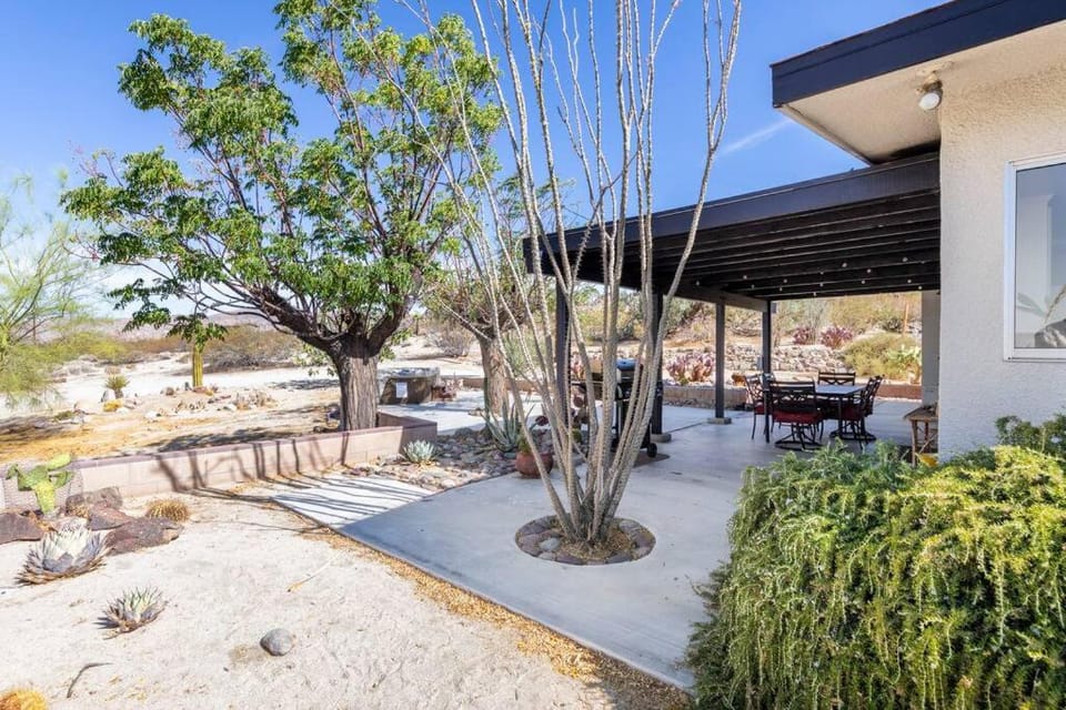 Property building, Patio, Spring, Day, Garden, Garden view