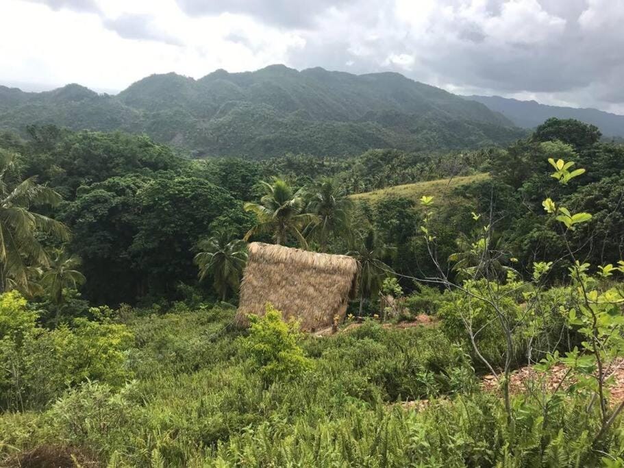 Natural landscape