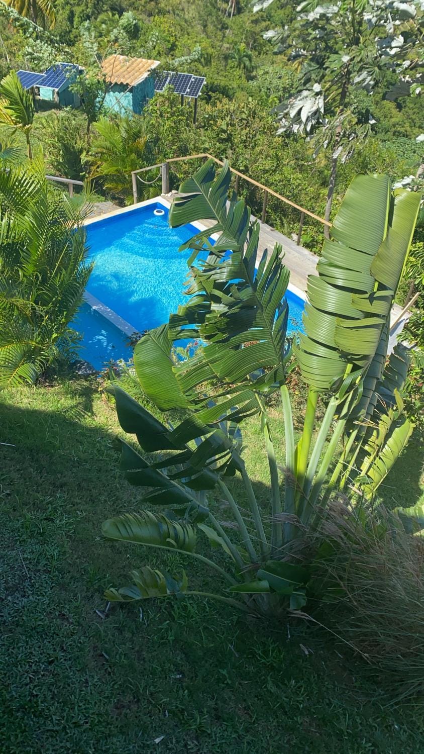 Sea view Casita Eco Casa Algana House in Samaná Province