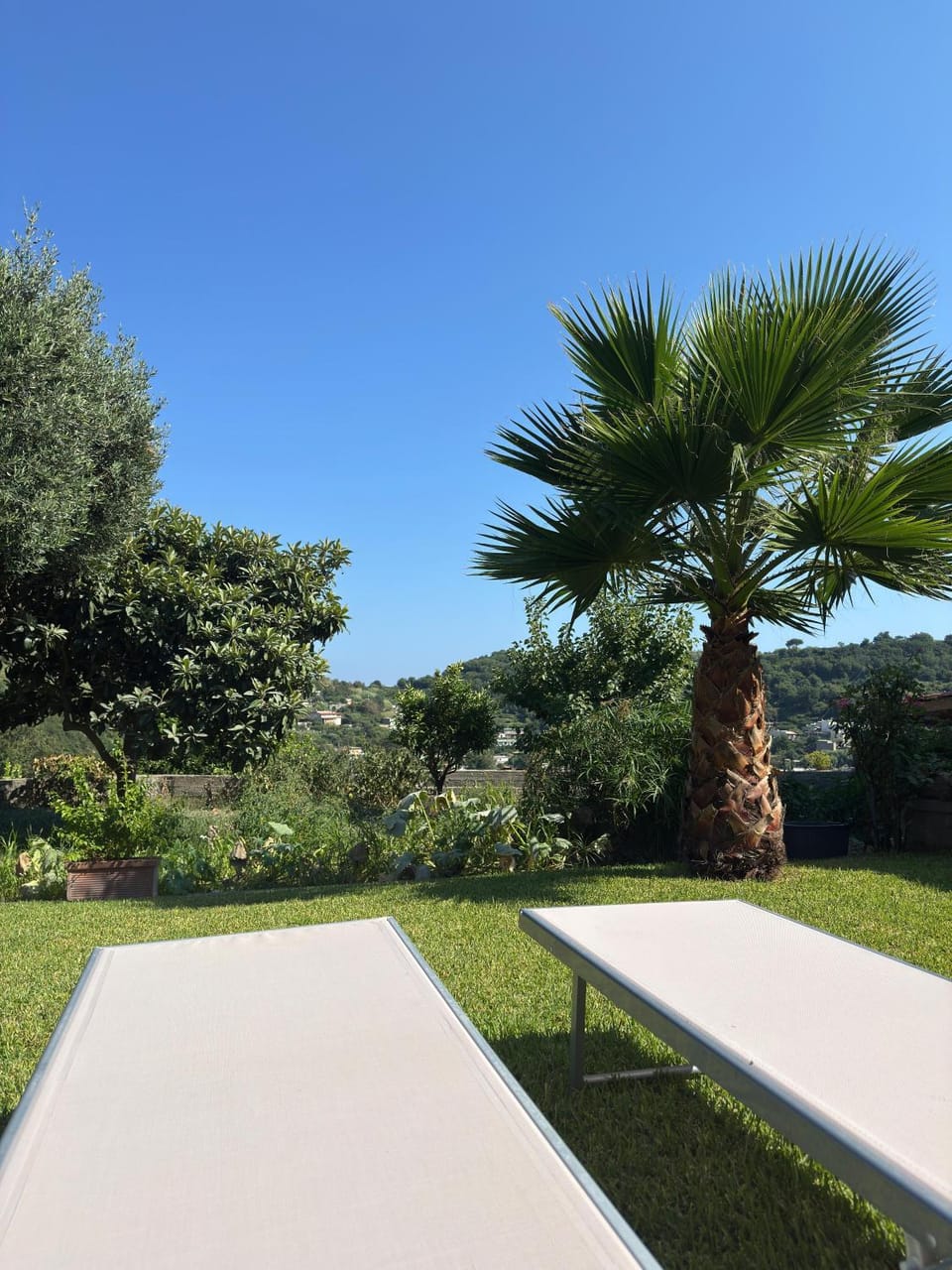 Natural landscape, Garden, Garden view