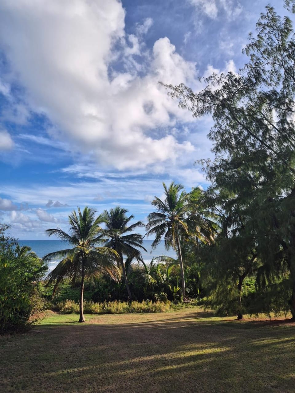 Natural landscape, Garden view