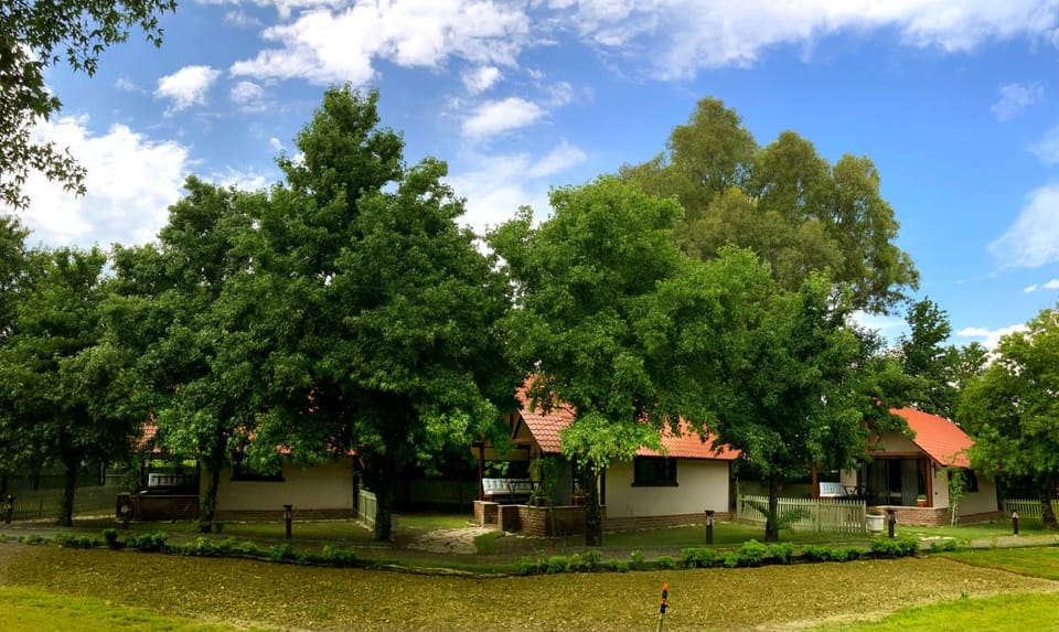 Property building, Garden