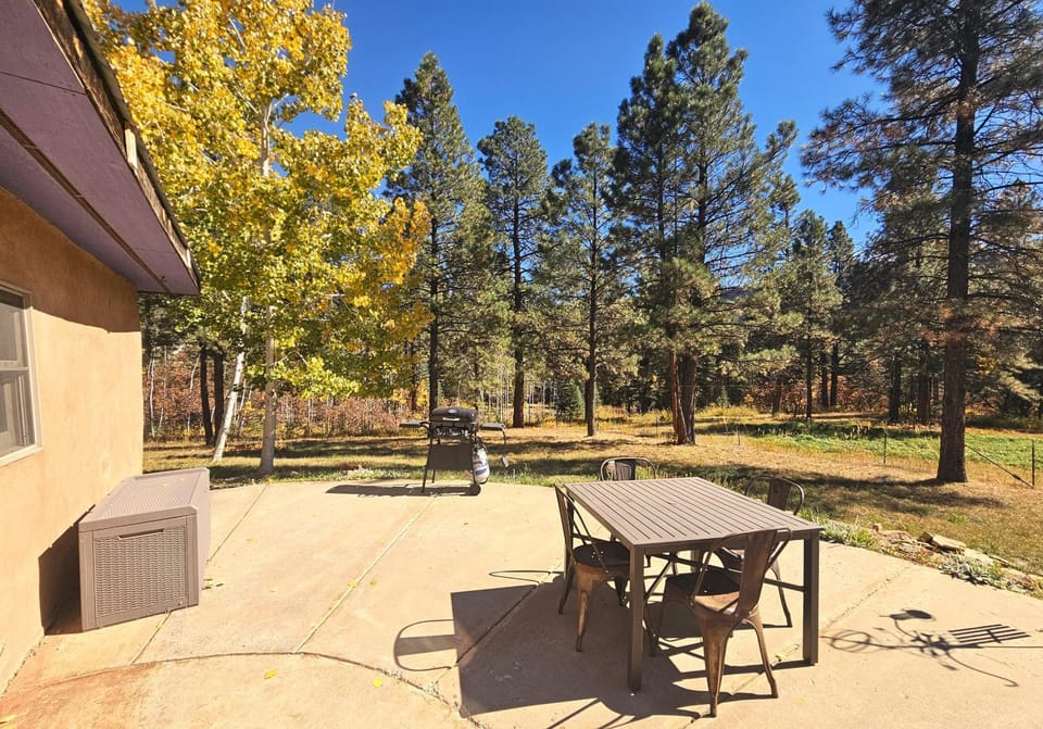 Pine Meadow Cabin 160 Sierra Circle Cabin in La Plata County