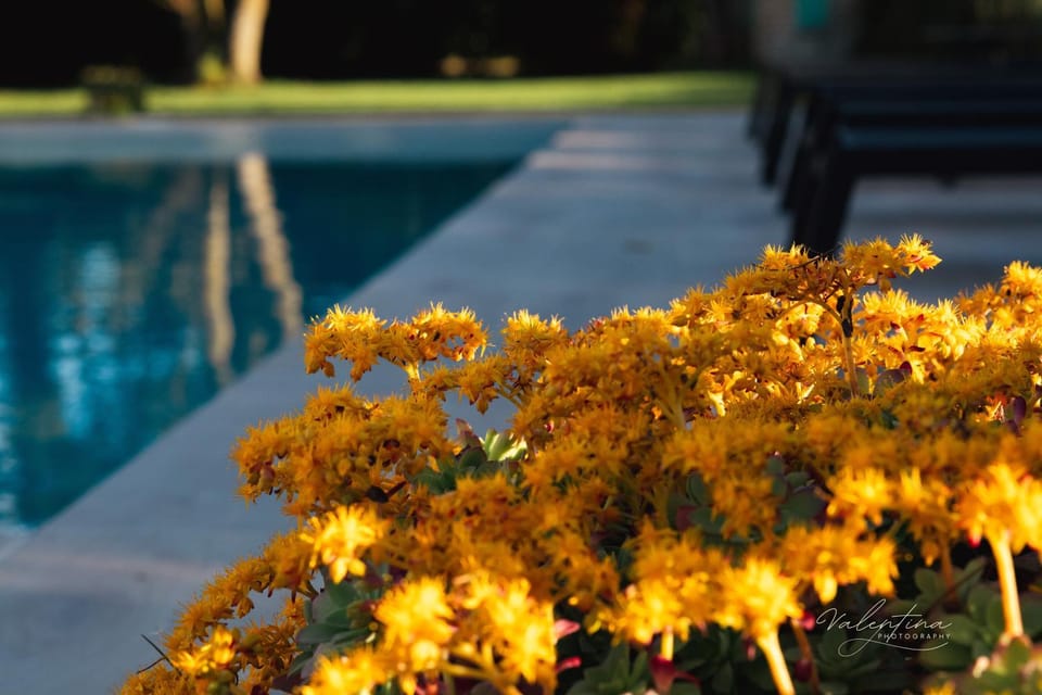ARCADIA - SIROLO Bed and Breakfast in Marche