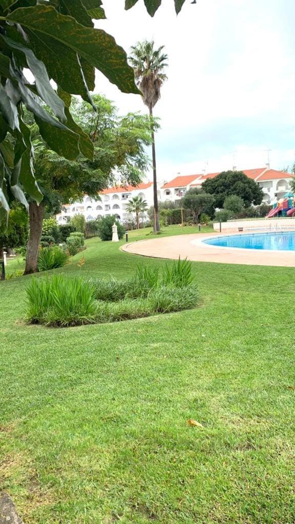 Natural landscape, Garden, Swimming pool