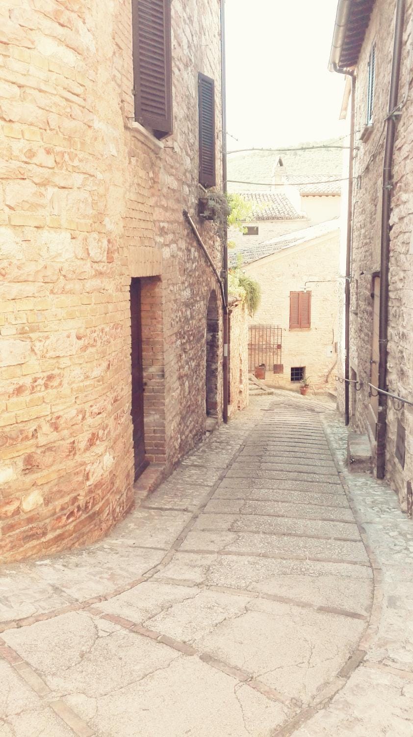 Property building, Day, Neighbourhood, Street view