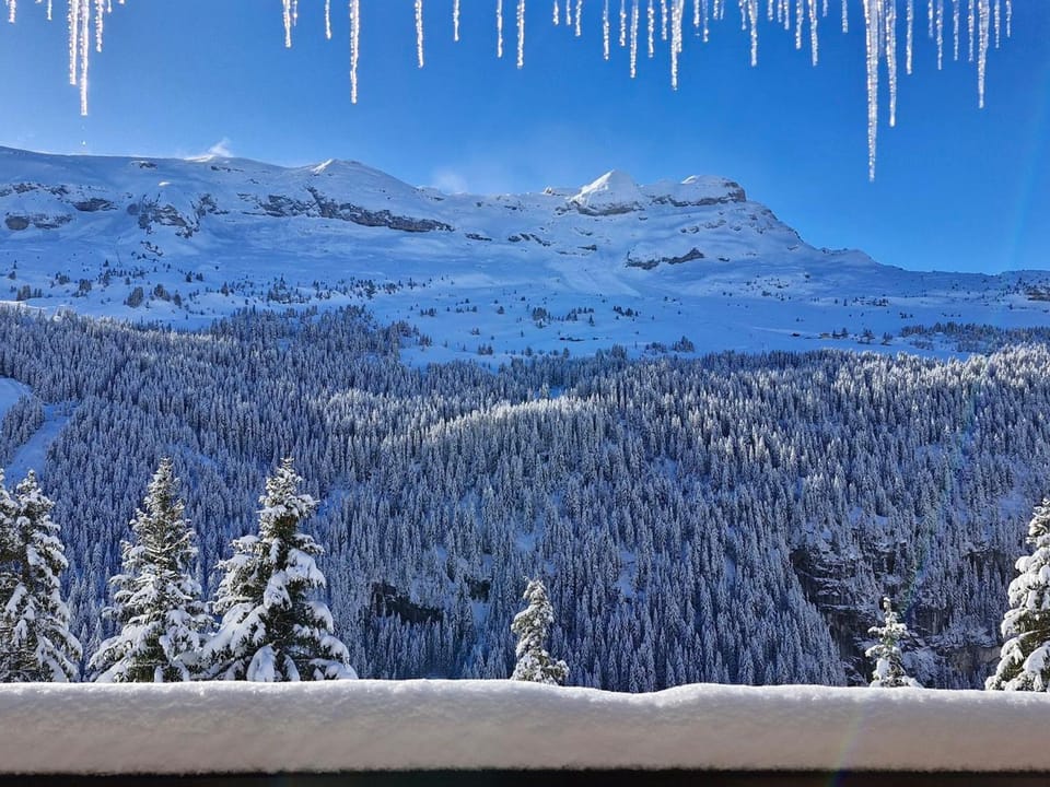 Appartement spacieux avec balcon, animaux admis, centre station et parking en option - FR-1-425-125 Apartment in Arâches-la-Frasse