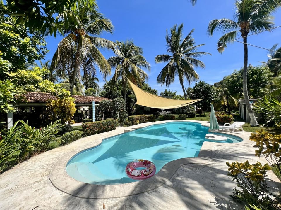 Garden, Pool view, Swimming pool
