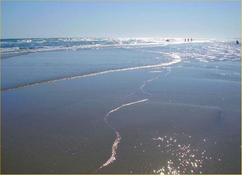 Natural landscape, View (from property/room), Beach