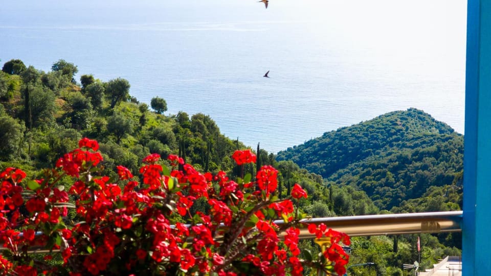 Selami Sea View Apartments Apartment in Vlorë County, Albania