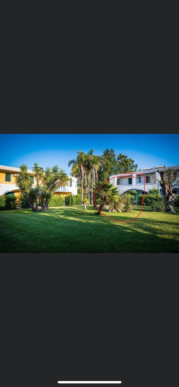 Property building, Garden view