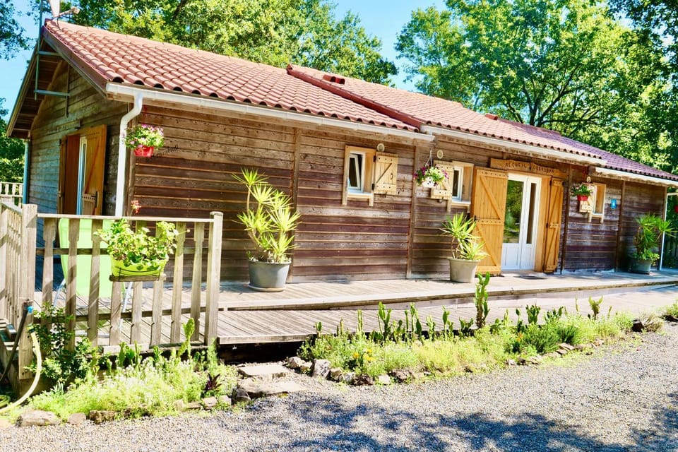Property building, Patio, Spring, Garden, Garden view