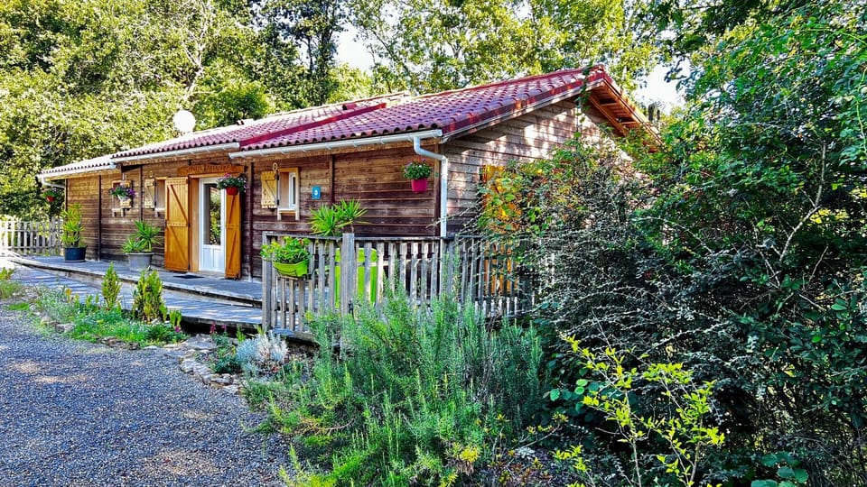Property building, Spring, Natural landscape, Garden, Garden view