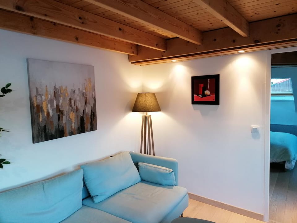 LE PANORAMA Apartment in Auvergne-Rhône-Alpes
