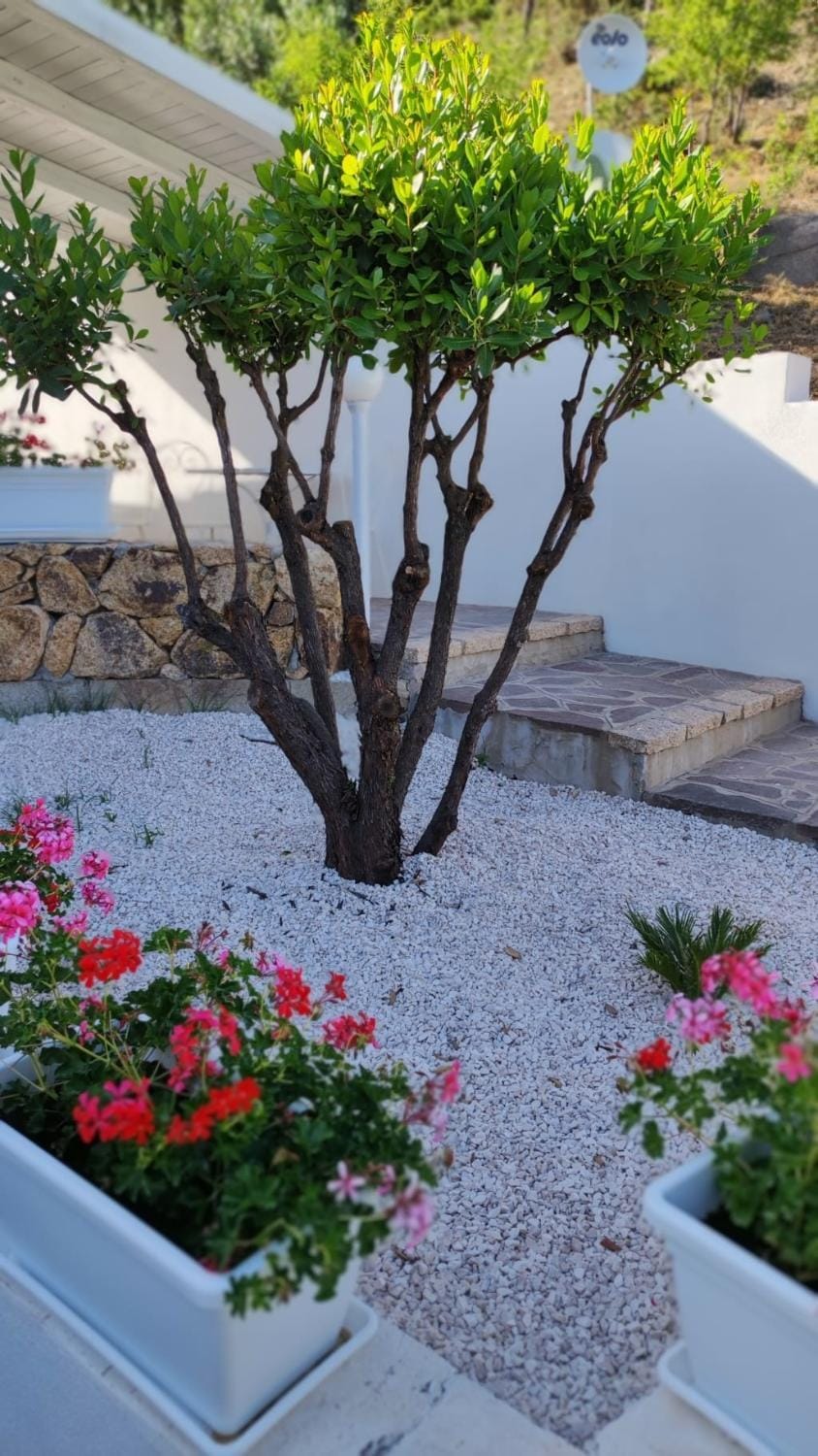 Facade/entrance, Garden, Garden view, Sea view