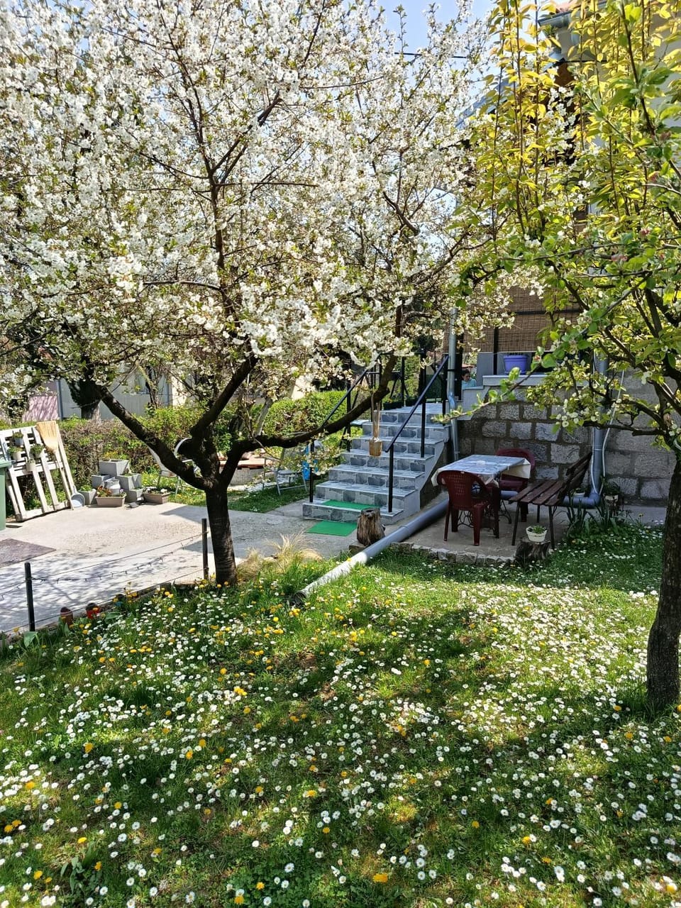 Mitrovića kuća Apartment in Serbia