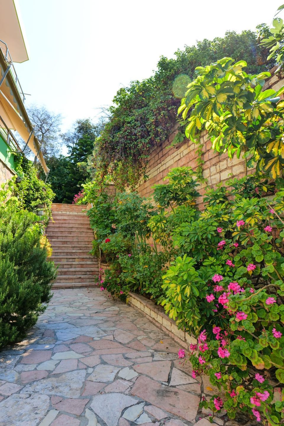 Patio, Garden