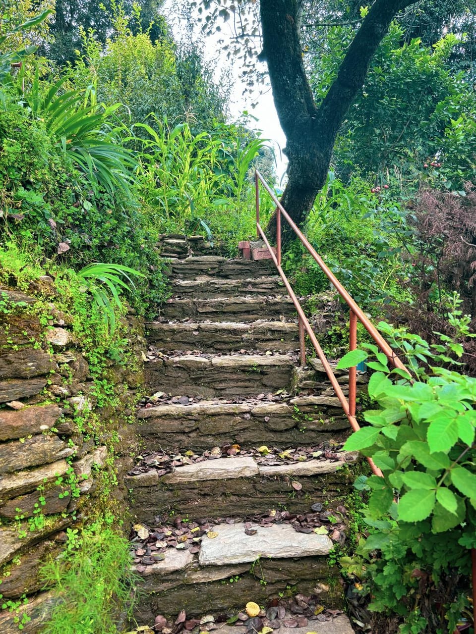 Odyssey Stays Sathkol Vacation rental in Uttarakhand