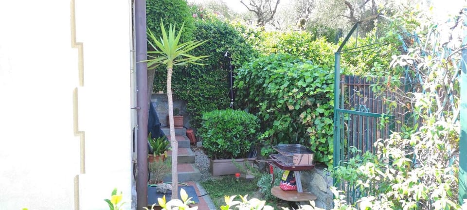 Patio, Garden