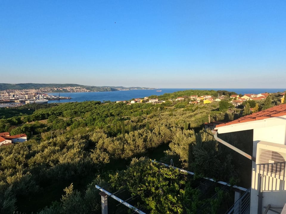 House among olive trees with a sea view 1 Apartment in Slovenia