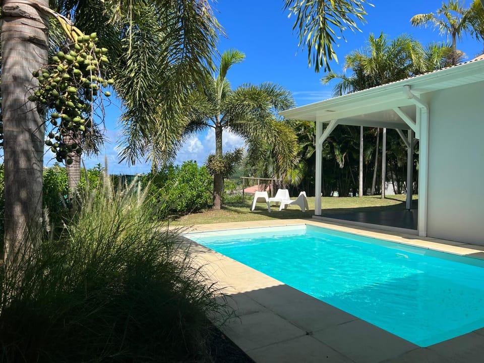 Garden, Swimming pool
